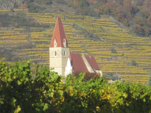 a church in the middle of a vineyard at GästeHaus Rudolf u. Sandra DENK in Wösendorf