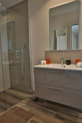 une salle de bain avec une douche, un lavabo et un miroir dans l'établissement Maison Cube, à Saint-Didier-au-Mont-dʼOr