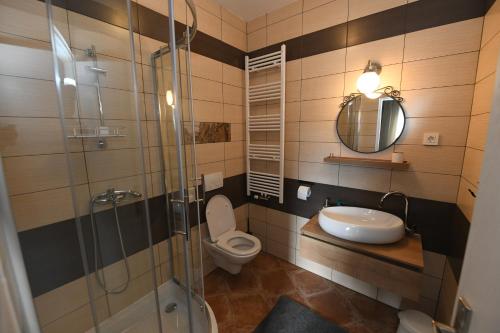 a bathroom with a toilet and a sink and a shower at Klet Cinkuš in Hrvatski Leskovac