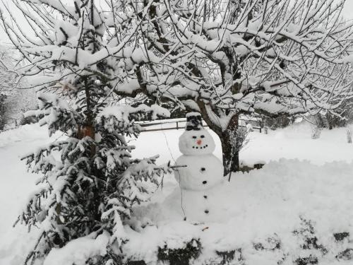 Haus Mauberger en invierno