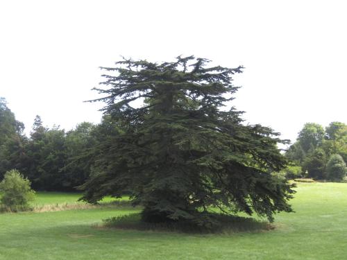 Taman di luar Home Farm Boreham