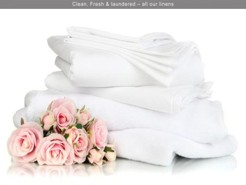 a bouquet of pink roses on white background at Fulham Experience-2BR 2BT in London