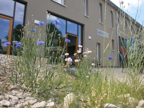 a building with flowers in front of it at veloInn Hotel Bad Berka im Weimarer Land in Bad Berka