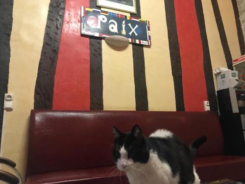 Animal ou animaux domestique(s) séjournant avec des clients dans l'établissement Hôtel Des Fontaines