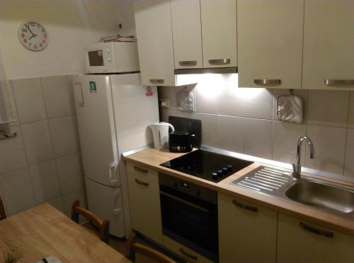 Kuchyňa alebo kuchynka v ubytovaní Apartman Radošić