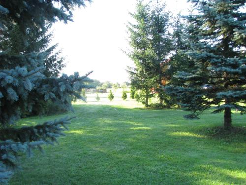 a yard with trees and a field of grass at Berkenye Fogadó in Szalafő