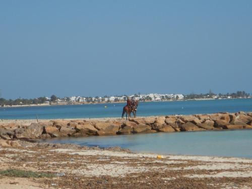 a horse standing on the rocks near the water at Menzel Churasco Djerba in Aghīr
