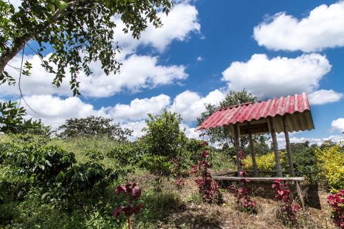 Jardin de l'établissement Agroparque Las Villas