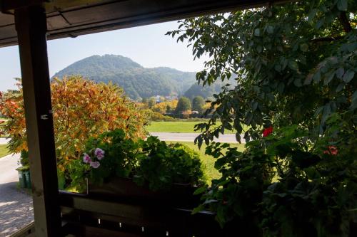 a window view of a garden with mountains in the background at Apartments Sole in Podčetrtek