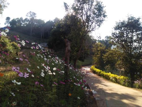 a garden with flowers on the side of a road at Mong Homestay Resort in Pang Ung