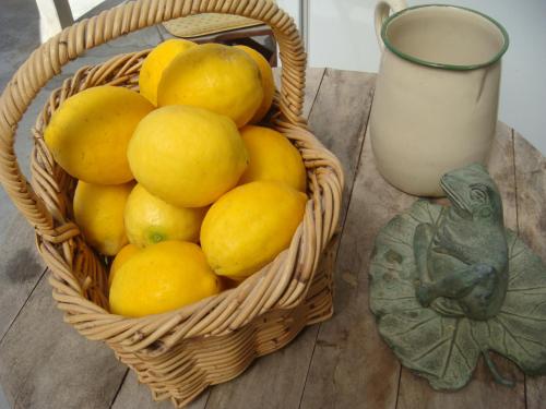 a basket of lemons on a table next to a vase at Woolshed Bed & Breakfast in Takaka