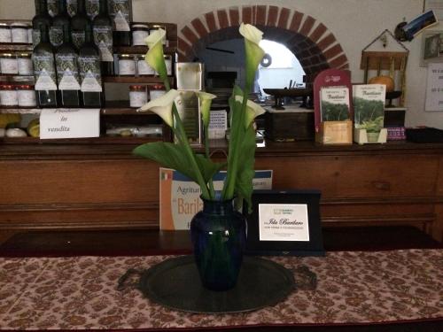 Billede fra billedgalleriet på Agriturismo Barilaro i Finale Ligure