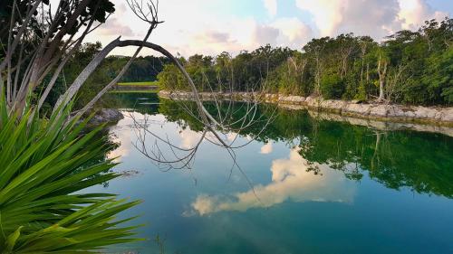 a river with a reflection of the sky in the water at Quetzal Apartment in Akumal