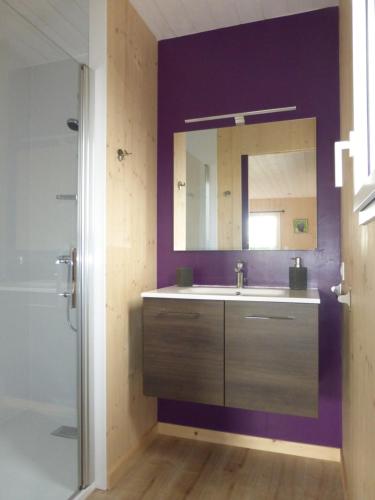 a bathroom with a sink and a mirror at La cabane du Bonheur in Les Herbiers