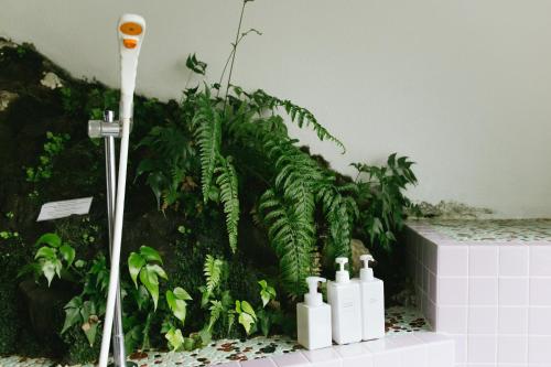 a bathroom with a green plant next to a shower at Retreat wabi-sabi - walk to Ohama Beach - Max 12 ppl in Shimoda