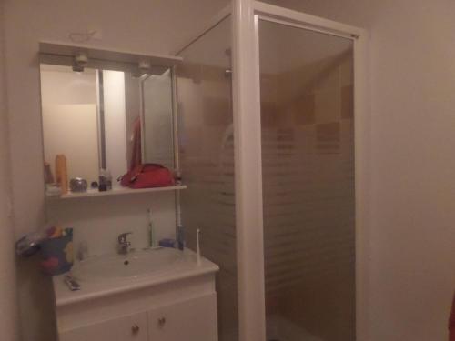une salle de bain avec douche et lavabo dans l'établissement 2 pieces a la teste de buch, à La Teste-de-Buch