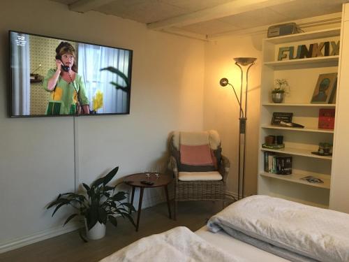 TV a/nebo společenská místnost v ubytování Casa Aurora
