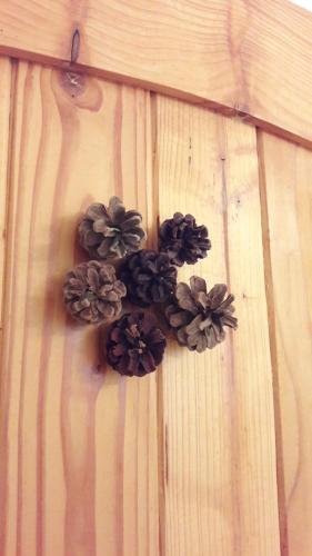 a group of pine cones on a wooden wall at Casa Mosului - Transfăgărășan Bed & Breakfast in Cîrţişoara
