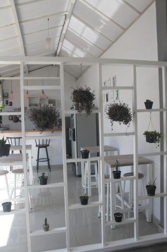 a room with white shelving with potted plants on it at Casa Blanca Gili Air in Gili Air