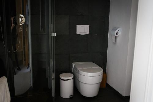 a bathroom with a toilet and a glass shower at Pensiunea Art 1000 in Lunca Vişagului