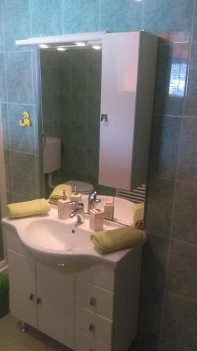 a bathroom with a sink and a mirror at Apartment Petrovic in Slunj