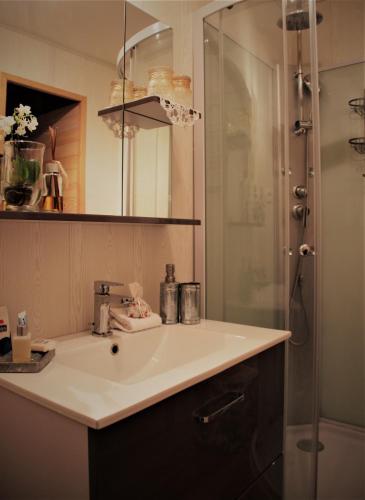 une salle de bain avec un lavabo et une douche dans l'établissement Angoville44, à Angoville-au-Plain