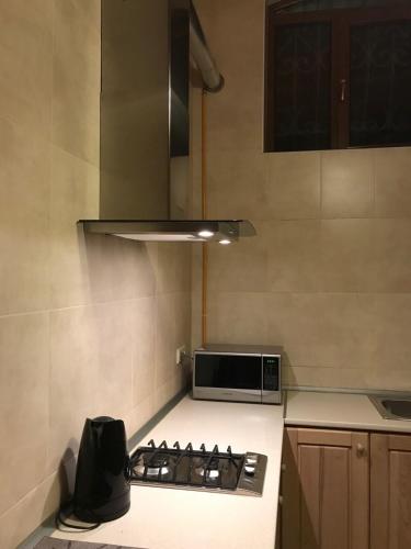 a kitchen with a stove and a microwave at Inka home in Borjomi