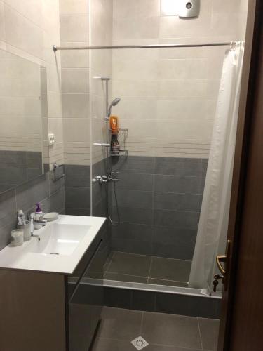 a bathroom with a shower and a sink and a shower at Inka home in Borjomi