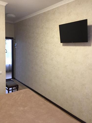 a room with a wall with a flat screen tv on it at Dvir Litynskyi in Lityn