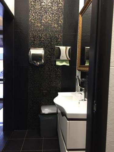 a bathroom with a sink and a mirror at Dvir Litynskyi in Lityn