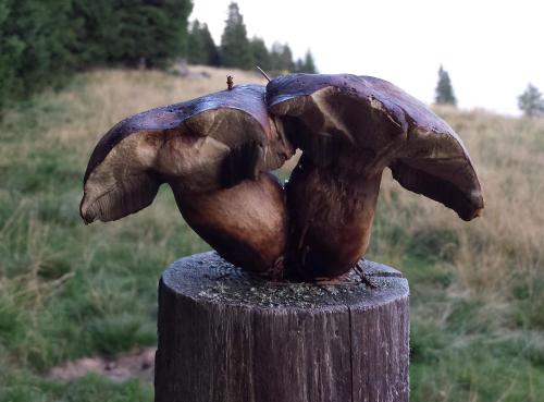 a statue of an elephant on a post at Berg-Arche in Sankt Margarethen im Lavanttal