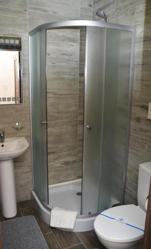 a bathroom with a shower with a toilet and a sink at Centralnyi hotel in Poltava