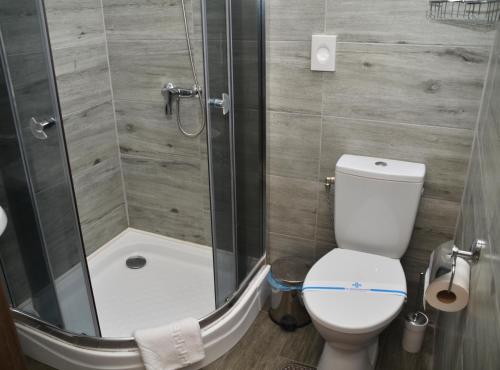 a bathroom with a toilet and a shower at Centralnyi hotel in Poltava