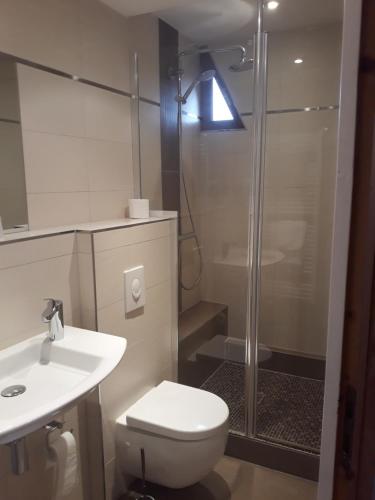 a bathroom with a shower and a toilet and a sink at Hôtel-Restaurant A La Couronne in Kilstett