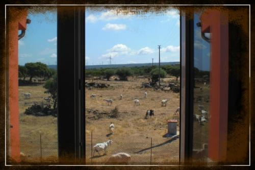 Gallery image of Agriturismo Pentuma in Chiaramonti