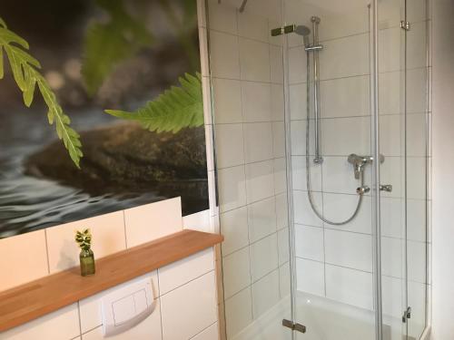 エッカーンフェルデにあるSEASIDE APARTMENTS - DREAMY GREENのバスルーム(ガラスドア付きのシャワー付)