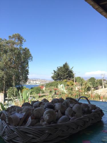 a basket full of rocks sitting on the water at Casa Tongoy in Tongoy