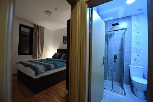 een slaapkamer met een bed en een douche en een toilet bij Dvori Apartments in Kopaonik