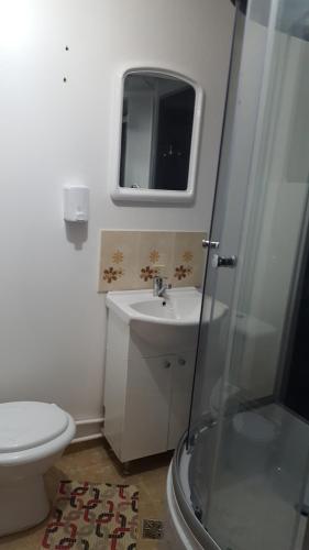 a bathroom with a toilet and a sink and a mirror at Pensiunea Hanami in Bacău