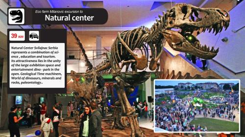 a dinosaur skeleton on display in a museum at Eco Farm Milanovic in Despotovac