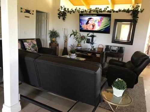 a living room with a couch and a tv at Coconut Palms Vacation Rental near lava fields and beaches in Kehena