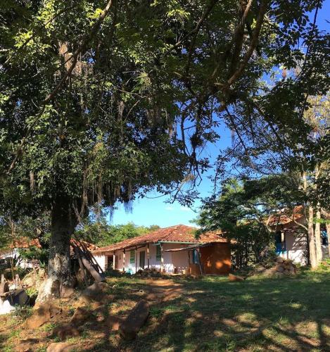 a house with a tree in front of it at Finca San Pedro in Barichara