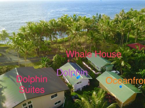 an aerial view of a house with palm trees and the ocean at The Dolphin Cottage at Kehena Beach in Kehena
