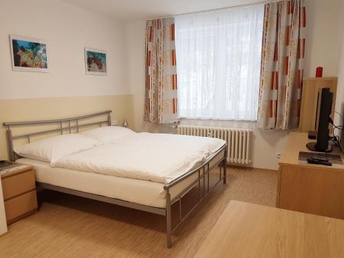 - une chambre avec un lit et une grande fenêtre dans l'établissement Apartmán 101, à Horní Maršov