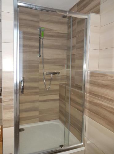 a shower with a glass door in a bathroom at Apartmán 101 in Horní Maršov