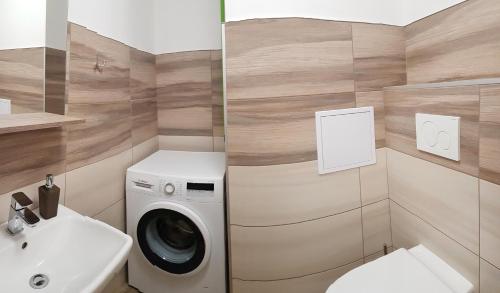 Koupelna v ubytování Apartmán 101