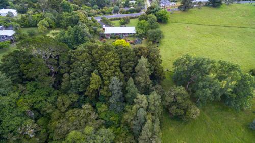 uma vista superior de uma floresta de árvores num campo em Warkworth Country House em Warkworth