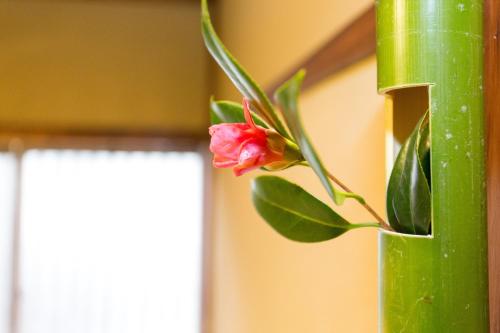 Фотография из галереи Guest House Kyorakuya Kinkakuji в Киото