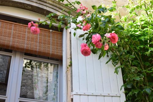 Cocooning Avignon photo 33