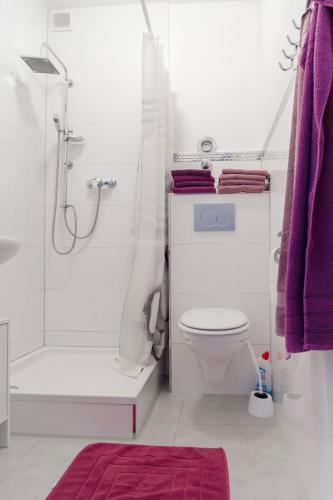 ヴィッテンにあるFerienwohnungのバスルーム(トイレ、シャワー、紫色のタオル付)